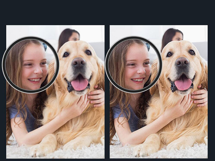 革新的Zero DOBBYを楽しむ